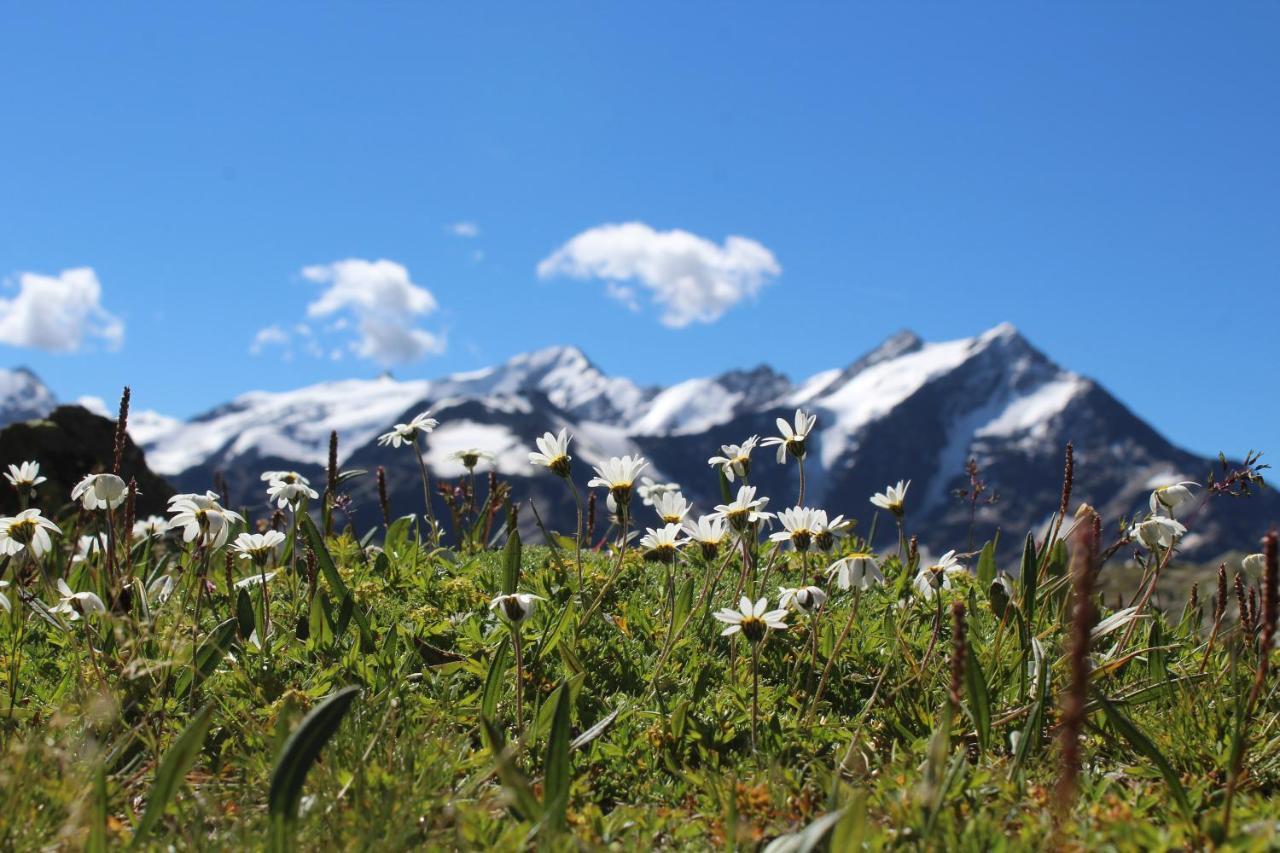 Rifugio Ghiacciaio Dei Forni Hotel Valfurva Exterior foto